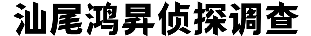 汕尾鸿昇侦探调查